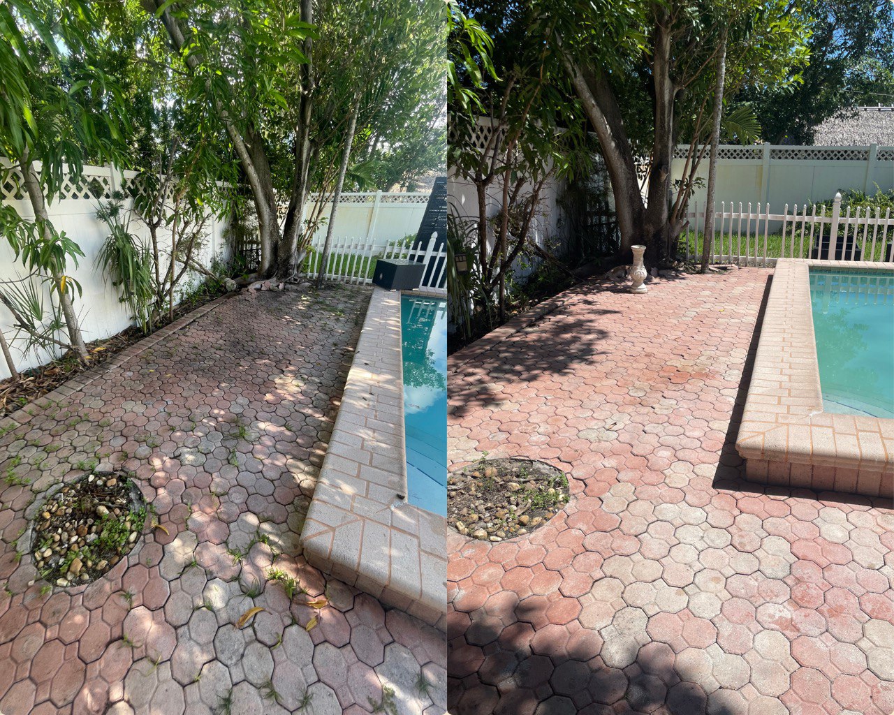 Backyard Before/After 2 – Hydrotec